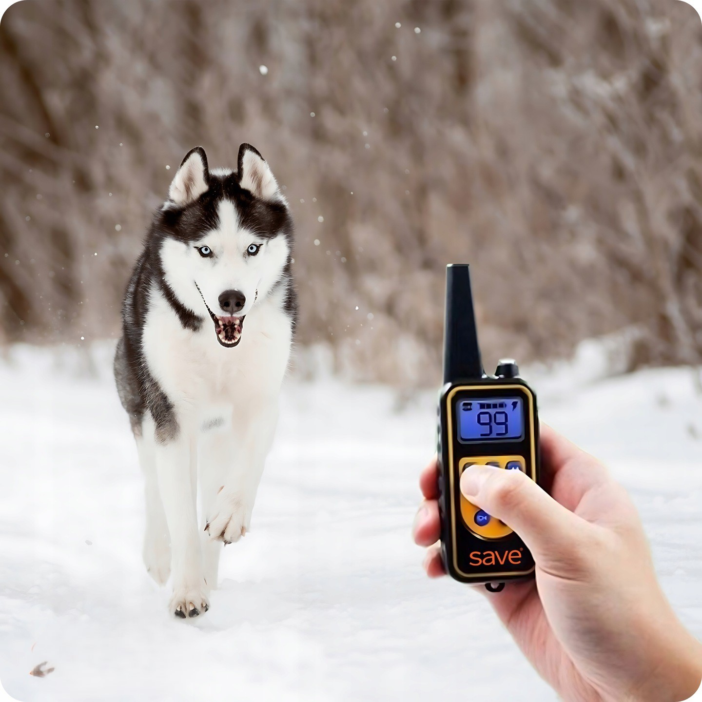 Guler profesional împotriva latratului